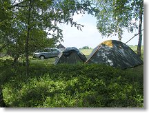 Stany OK1MHW a OK1FRD teamů hned vedle borůvkové plantáže