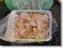 Skvělý utopenci od Bohouška OK1PBB