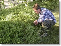 Borůvek nebylo mnoho, ale byly