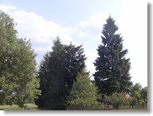 A ač je to k nevíře, tak takhle umí zlikvidovat vršek stromu drátová anténa