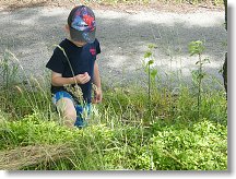 Kubík zkoumá borůvčí kousek od stanu