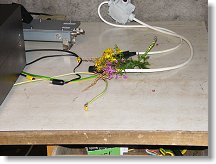 Polní kvíti na paměť PA, který tu ještě v noci pracoval....