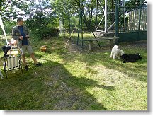 Láďa OK1FCR a psí kamarádi Vládi OK1SVB