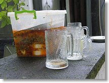 Pivo došlo, ale skvělé nakládané hermelíny z dílny MHW teamu ještě stále lákají k zakousnutí