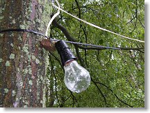 Průtokové osvětlení polního výčepu