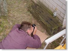 Spící motýl netuší jakou se stal hvězdou