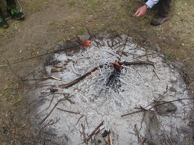 Polní den Vestec 2019