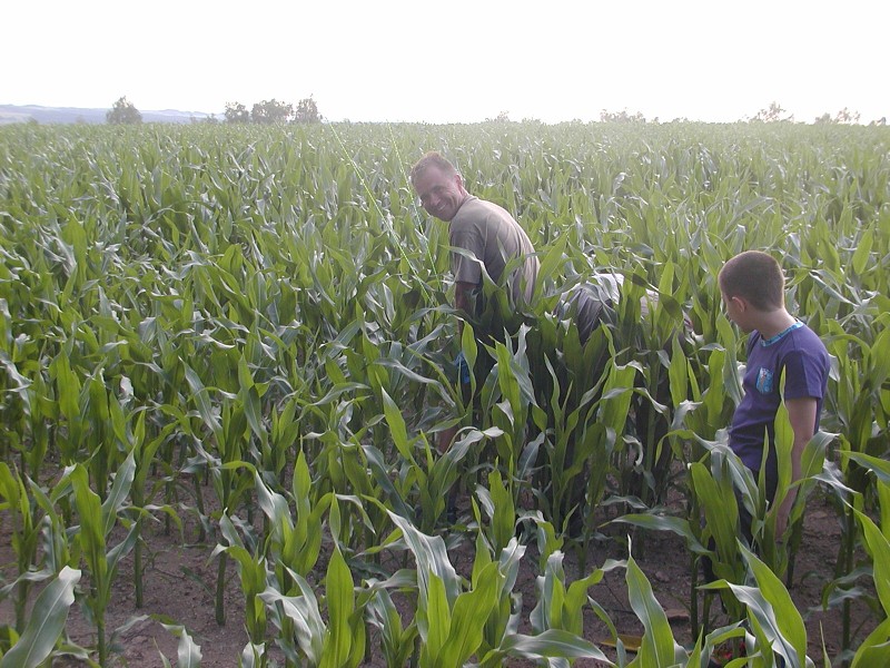 Polní den Vestec 2019