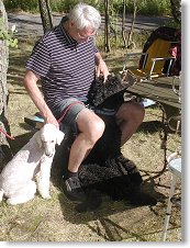 Ještě Vláďa a jeho pejsani