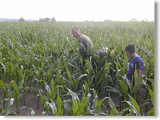 Další skupina kotevníků v poli