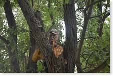 A řízi ještě z druhé strany