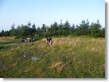 Petr kotví stožárek