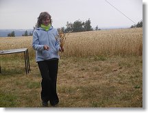 Iva využila darú přírody a pořídila dekoraci do vázy