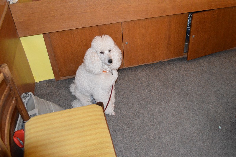 QRP setkání Chrudim 2017