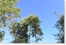 Emskvéra nad brízami