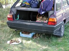 A ještě jednou houby                                                                                                                    