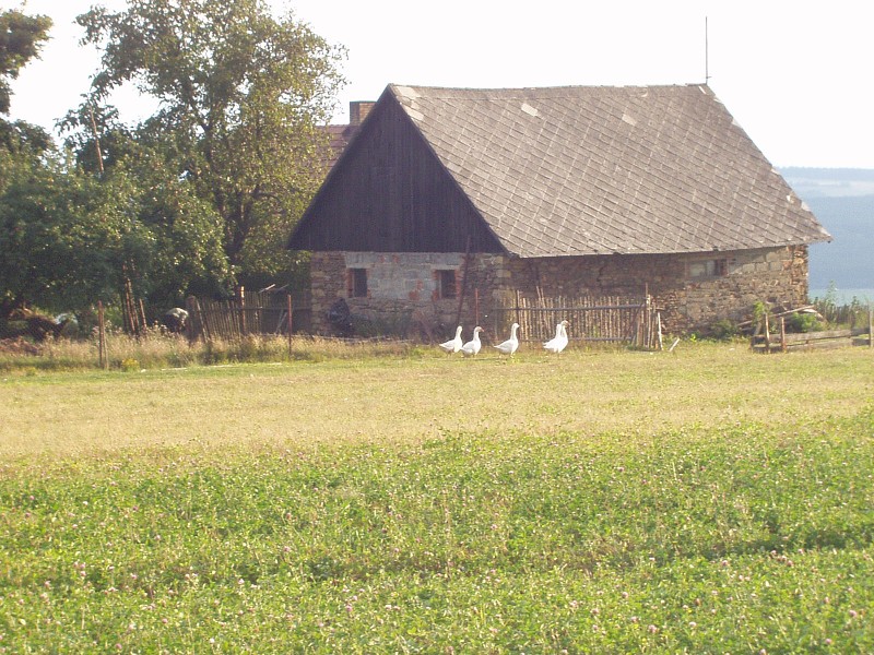 Den rekordů Vestec 2007