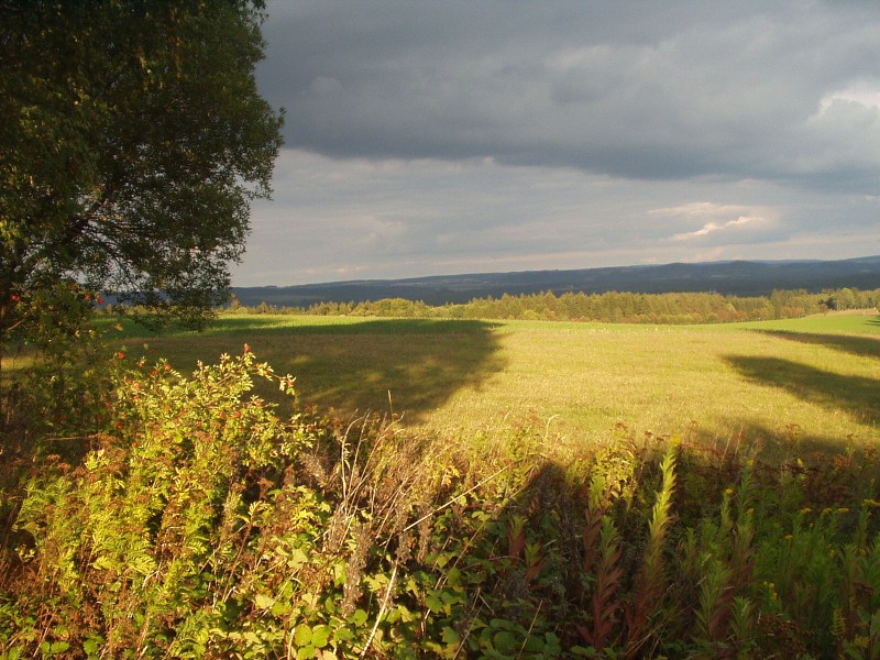 Den rekordů Vestec 2007