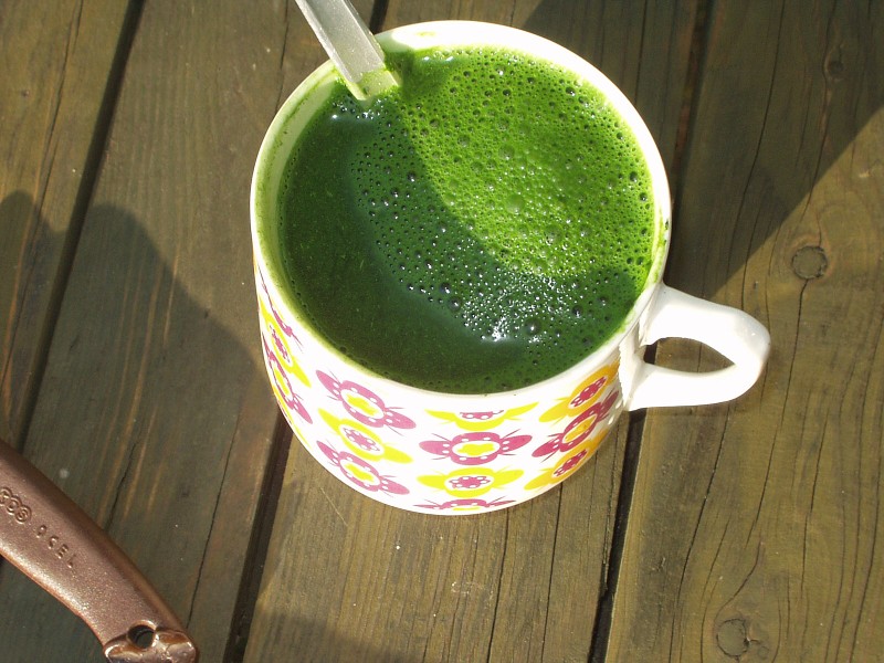 VHF contest Vestec 2008