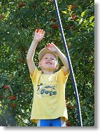 Druhý nejmladší Vestečan