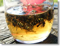 Kdo chce kam, pomožme mu tam....