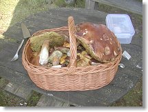 VHF = V Houbách Furt