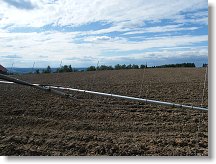 A pomalu s tím můžeme nahoru